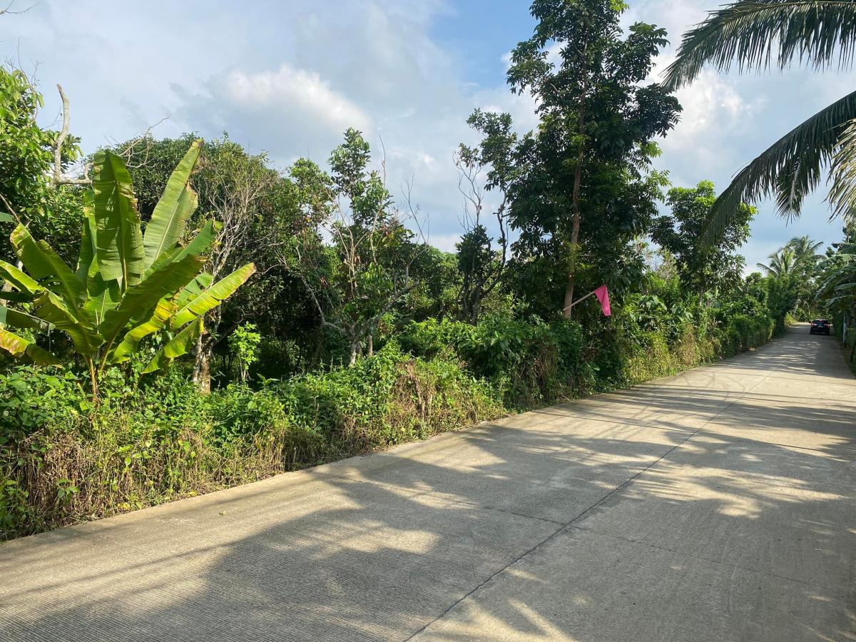 Lot for Sale at Silang Cavite