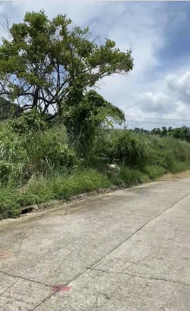 Residential Lot - Taal View Heights  (Aya)