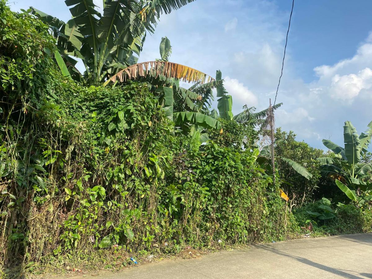 Lot for Sale in Silang Cavite