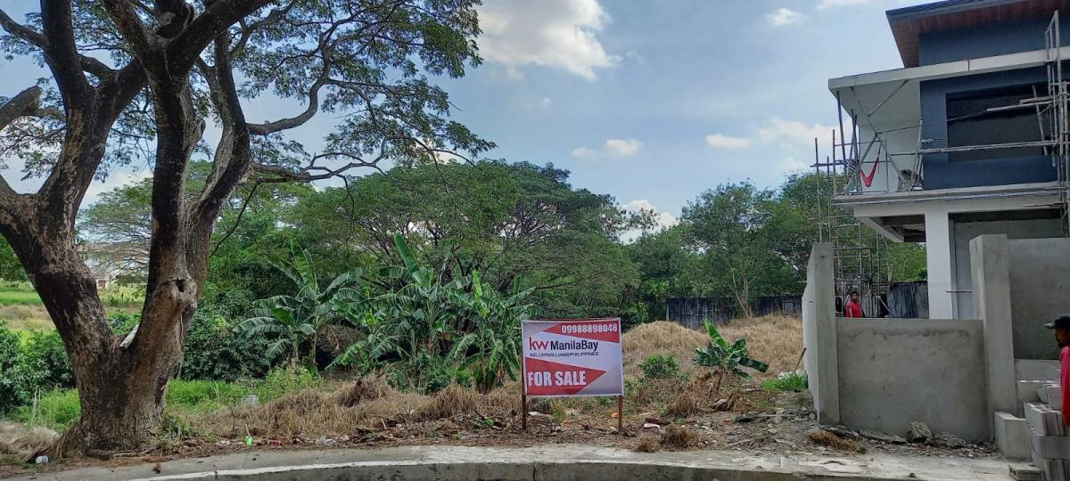Lot for Sale ( 380 sqm) Orchard Residential Estates 